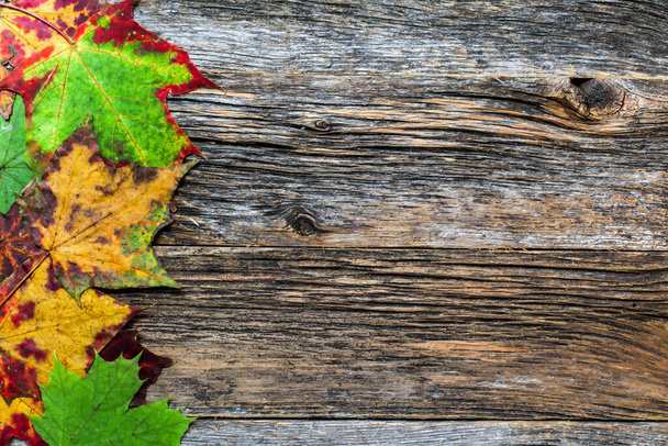 Декоративний осінній фон з осіннім барвистим листям
 - Фото, зображення