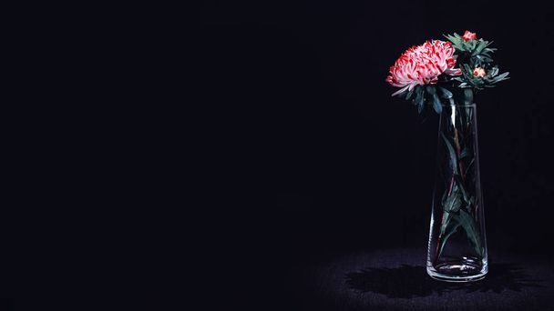 Aster flower stands in a glass vase with a beautiful shadow on a dark background - Foto, Imagem