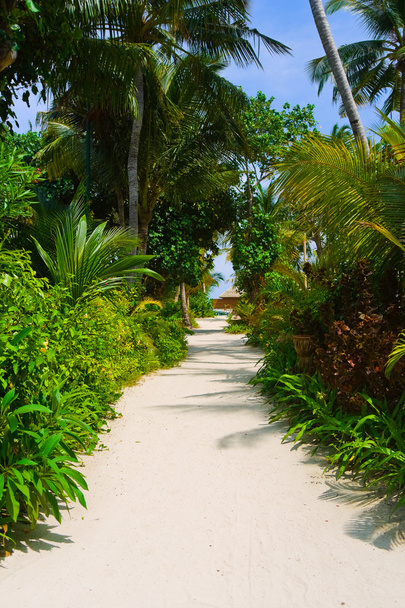 Pathway to bungalow - Фото, зображення