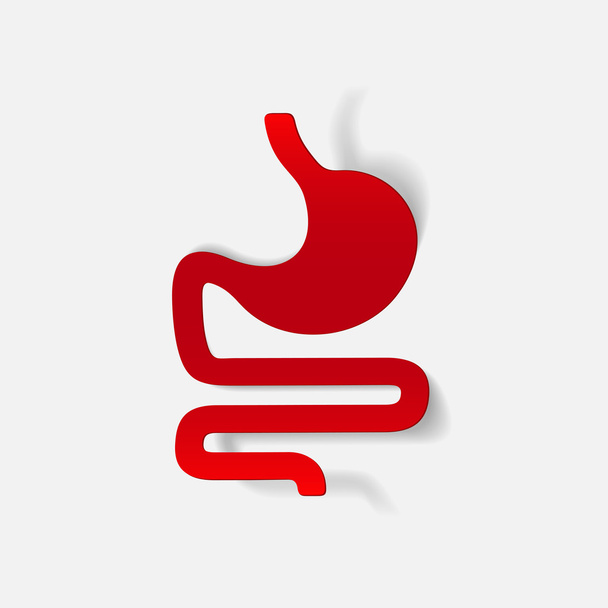 elemento de diseño realista: estómago, médico
 - Vector, imagen