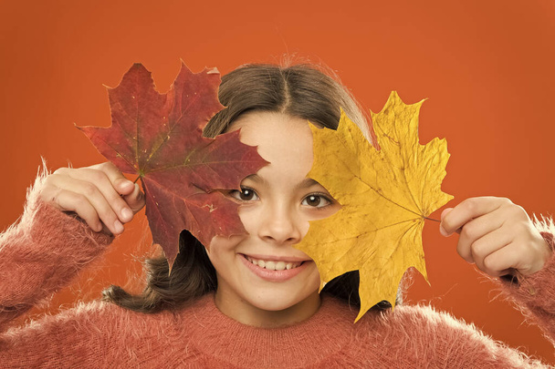 Going crazy. autumn kid fashion. Weather change. happy small girl with maple leaf. fall season. fallen leaves bunch. girl child in sweater. Autumn mood. school time. childhood happiness. having fun - Foto, Bild