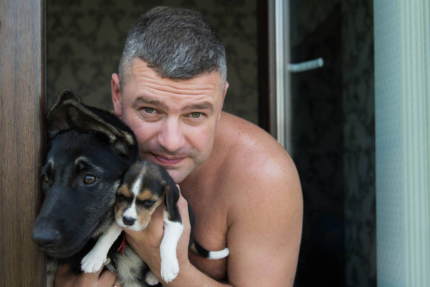 close-up portrait of happy senior man looking at camera on a home background of window. Man holding and hugging beagle dog and Eastern European Shepherd. Smiling, enjoying good day with pet. - Photo, Image