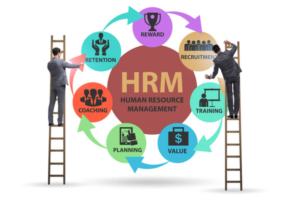 HRM - Concepto de gestión de recursos humanos con empresario - Foto, imagen