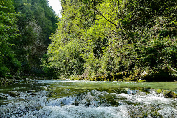 řeka v lese, krásný digitální foto - Fotografie, Obrázek