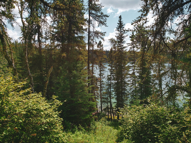 Kaunis näkymä Blue Lakes vaellusreitille kesällä Duck Mountain Provincial Parkissa, Manitobassa, Kanadassa - Valokuva, kuva