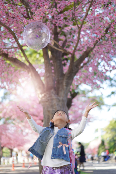 Asian little girl in garden under the blossom sakura tree background  - Photo, Image