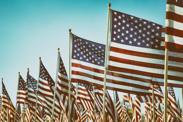 American flags waving in the wind against blue sky on the honor of Veterans day celebration.. Copy space. Vintage filter effects. - Фото, зображення