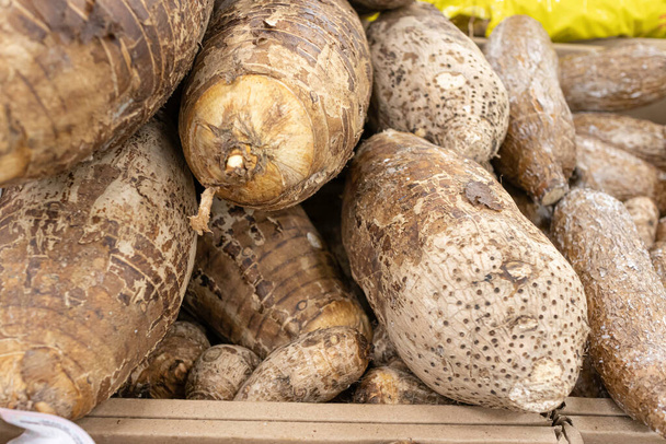 Coco Yam Taro Root on display in produce section of Supermarket - Photo, Image