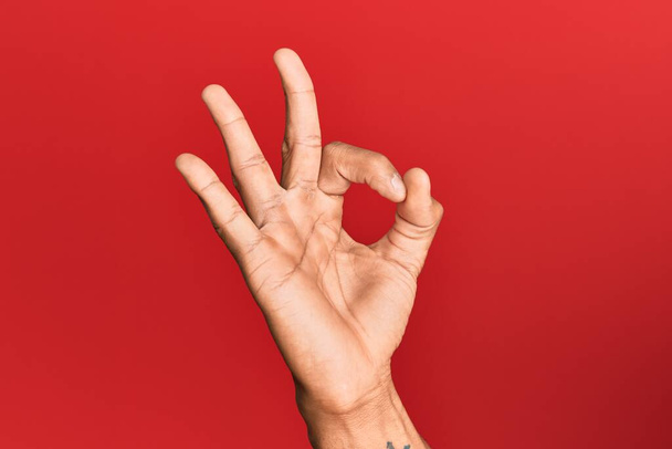 Ruka hispánského muže nad červeným izolovaným pozadím gestikulující souhlas výraz dělá dobře symbol s prsty  - Fotografie, Obrázek