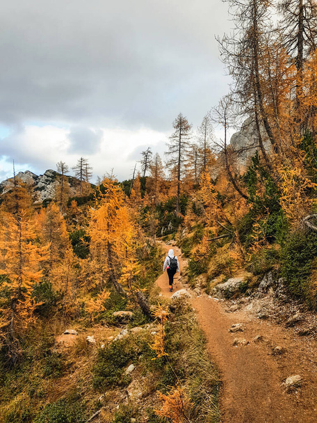 A vertical shot of female hiking in a pathway surrounded by autumn trees in a forest - Foto, Bild