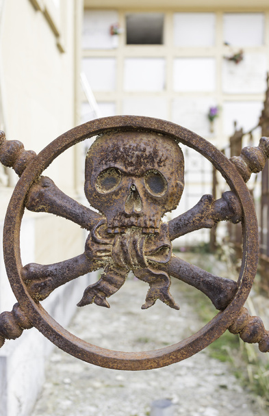 Rusty Skull Pirata
 - Foto, Imagen