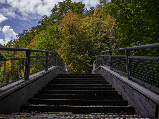 A closeup shot of a staircase of a bridge leading to the forest - Photo, image