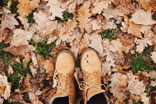 Feet in boots on wet fallen oak leaves on ground in forest. Autumn concept, cold weather, sad lonely time - Fotografie, Obrázek