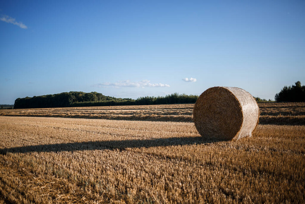 Вид на соломенные луга, долины и пару тюков сена. Косил поле с сеном. Природа в деревне - Фото, изображение