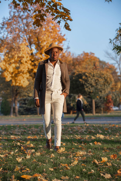 Fashion portrait of stylish African American man wear hat walking in the autumn park - Photo, Image