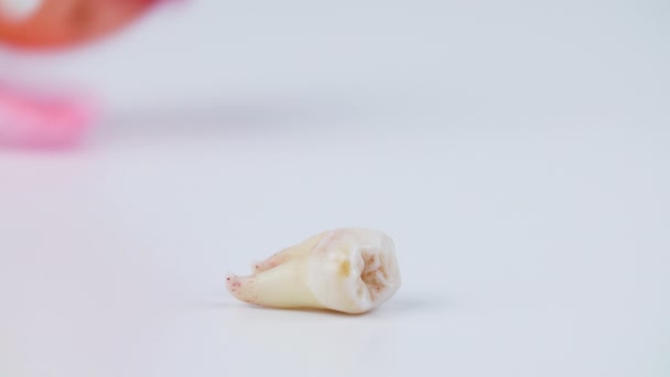 Βίντεο από άλμα στόμα με αφαιρούμενο δόντι - κινείται παιχνίδι σε λευκό φόντο - Πλάνα, βίντεο
