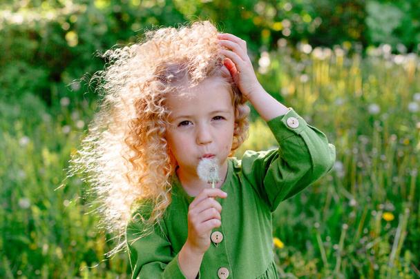μικρό σγουρό ξανθό κορίτσι φυσάει πικραλίδα στο πάρκο  - Φωτογραφία, εικόνα