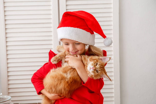 una bambina con il cappello da Babbo Natale che gioca con un gattino in cucina - Foto, immagini