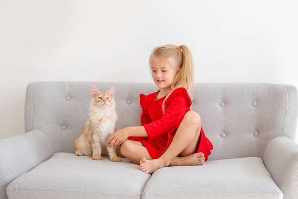 roztomilá holčička s maine mývalí kotě na pohovce  - Fotografie, Obrázek