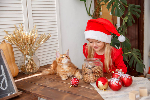 una bambina con il cappello da Babbo Natale che gioca con un gattino in cucina - Foto, immagini
