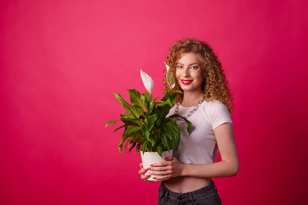 curly girl holding a pot with a flower on a pink background - Photo, Image