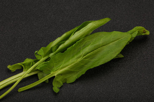 Aroma Friss zöld sóska gyógynövény halom - Fotó, kép