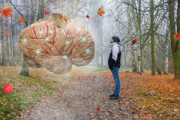 Un uomo in piedi in un paesaggio autunnale di fronte al cervello umano gigante. Il cervello sta trasmettendo informazioni e operazioni.. - Foto, immagini