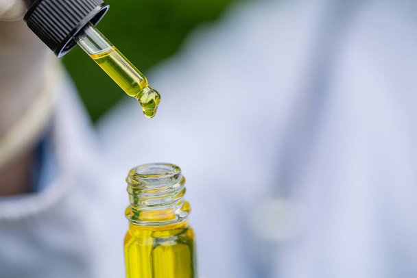Docteur main tenant de l'huile de cannabis, Recherche d'extraits d'huile de chanvre à des fins médicales - Photo, image