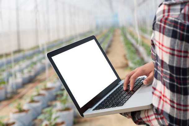 Концепція технології сільського господарства людина Агрономіст Використання ноутбука в сільськогосподарському полі читати звіт, аналіз рослин і дослідження
 - Фото, зображення