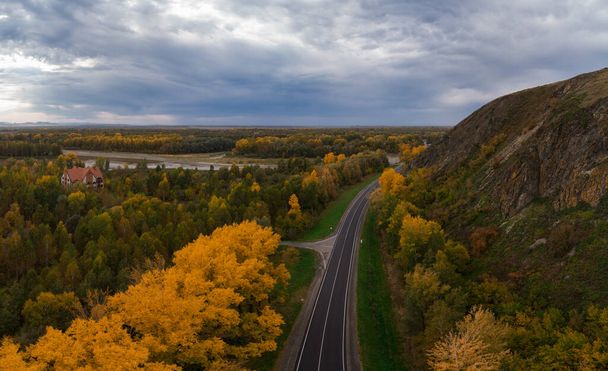 Aerial view of road in beautiful autumn Altai forest - Photo, Image