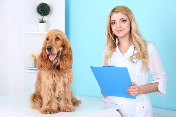 Beautiful young female veterinarian with dog in clinic - Foto, imagen