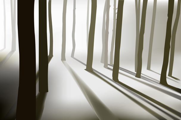 Bosque misterioso
 - Vector, imagen