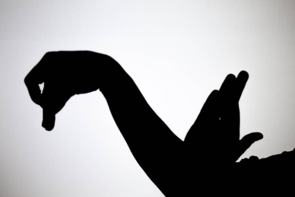 Schattenspiel auf eine weiße Leinwand projiziert. schafft mit den Händen eine Form von Schwan oder Ente. - Foto, Bild