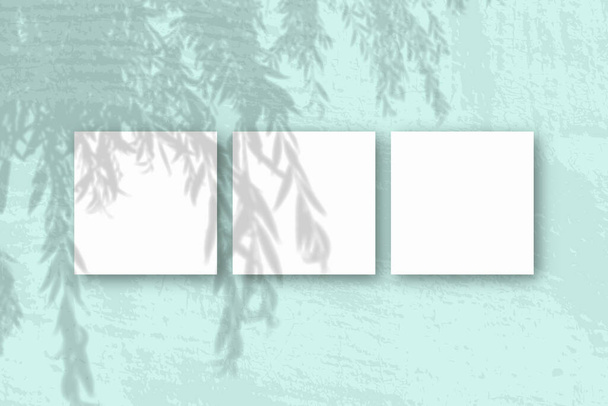La luz natural proyecta sombras de una rama de sauce en 3 hojas cuadradas de papel texturizado blanco - Foto, imagen