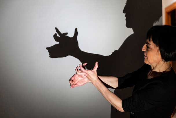 giocare ombra proiettata su uno schermo bianco. le mani della persona modellano una renna, un rudolfo - Foto, immagini