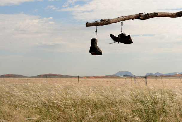 Творчий дороговказ біля воріт ферми, що вказує на вимикання туристичного маршруту в Намібії. - Фото, зображення