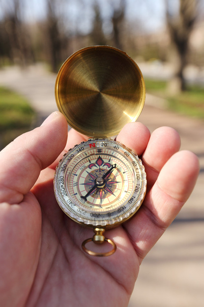 Kompass - Foto, Bild