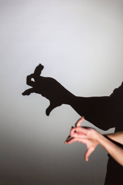 giocare ombra proiettata su uno schermo bianco. le mani della persona modellano un coniglio - Foto, immagini
