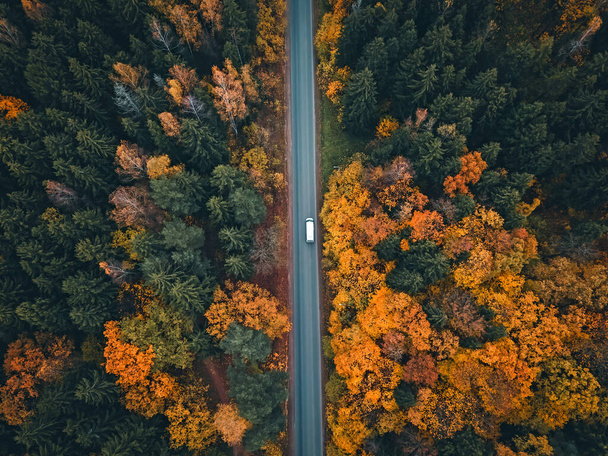 Auta na silnici v krásném podzimním lese, foto z dronu. Krásná podzimní lesní krajina, pohled shora. - Fotografie, Obrázek