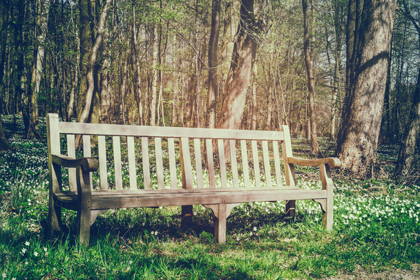 Wooden bench in spring park - Φωτογραφία, εικόνα