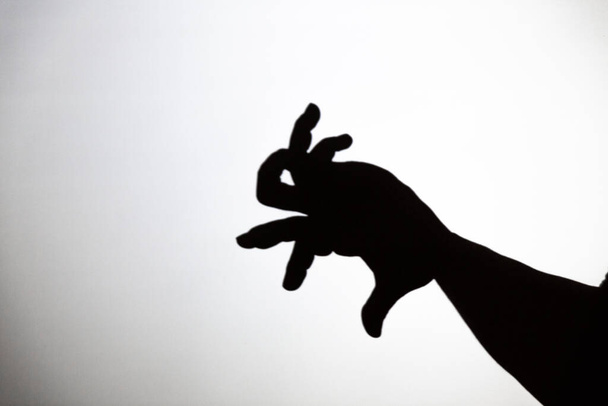 jouer ombre projetée sur un écran blanc. les mains de la personne façonnent un lapin - Photo, image