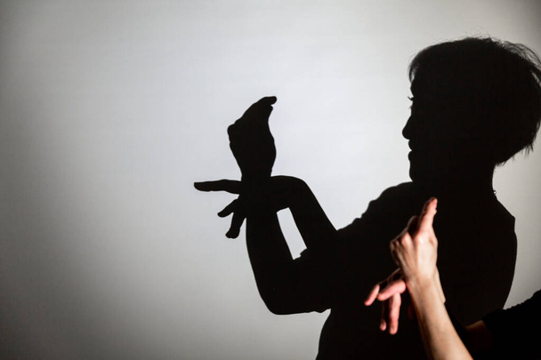 воспроизведение тени, проецируемой на белый экран. the person 's hands shape a pigeon - Фото, изображение