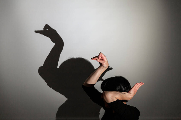 shadow play projected on a white screen. creates a form of swan or duck with the hands. - Fotografie, Obrázek
