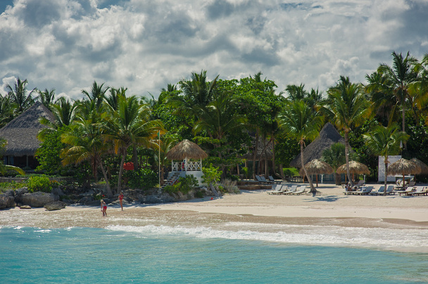 Palm and tropical beach in Tropical Paradise - Φωτογραφία, εικόνα