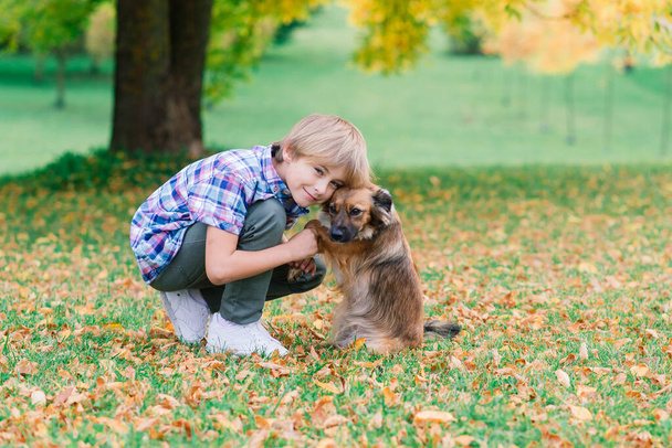 Cute boy playing and walking with his dog in the meadow. - 写真・画像