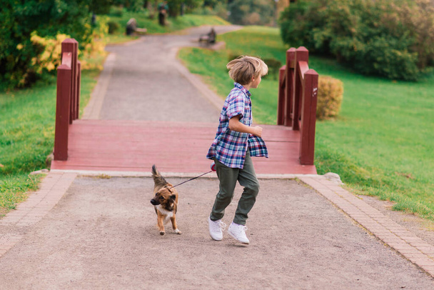 Χαριτωμένο αγόρι παίζει και περπατά με το σκυλί του στο λιβάδι. - Φωτογραφία, εικόνα