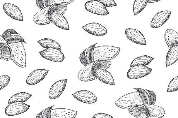 Seamless pattern with almond nuts. Line art style. - Vector, Image