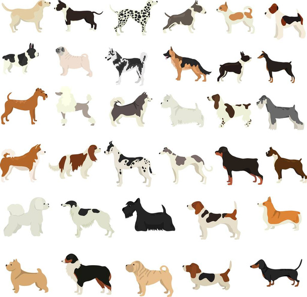 Set di cani dei cartoni animati carino piatto. Razze popolari. Icone isolate di design in stile piatto. Illustrazione vettoriale - Vettoriali, immagini