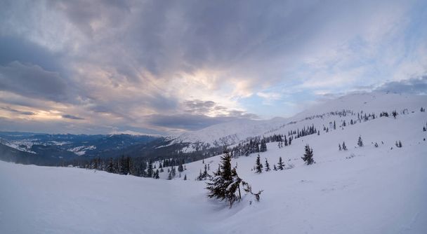 Picturesque winter windy and cloudy morning alps. Ukrainian Carpathians highest ridge Chornohora with peaks of Hoverla and Petros mountains. View from Svydovets ridge  Dragobrat ski resort. - Foto, Imagem