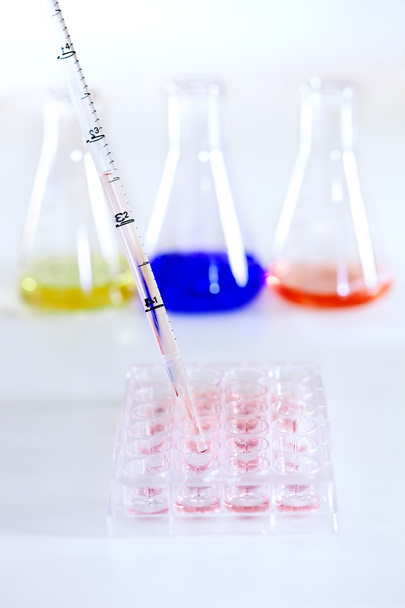 Pipetting substrate into a tray in the laboratory.  - Photo, image